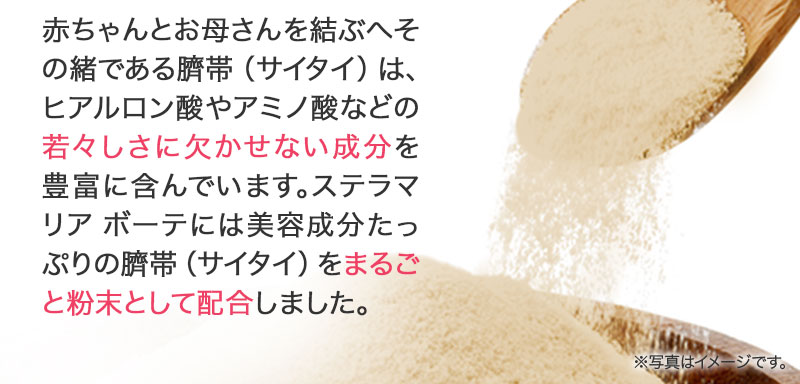 赤ちゃんとお母さんを結ぶへその緒である臍帯（サイタイ）は、ヒアルロン酸やアミノ酸などの潤いに欠かせない成分を豊富に含んでいます。